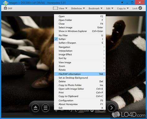 Honeyview 5.51 Download with
